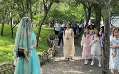 车文详细描写文字